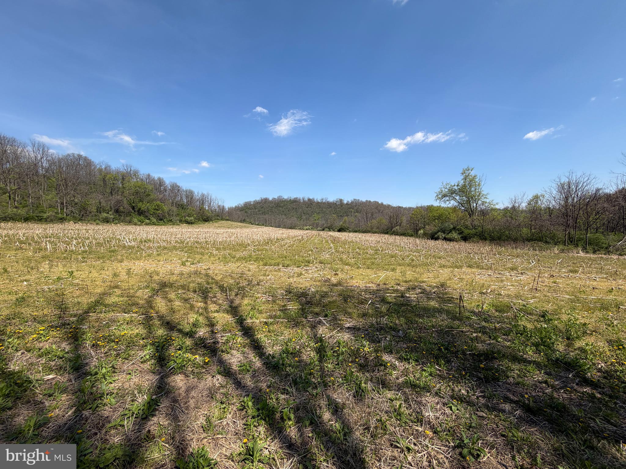 NONE AVAILABLE - Farm