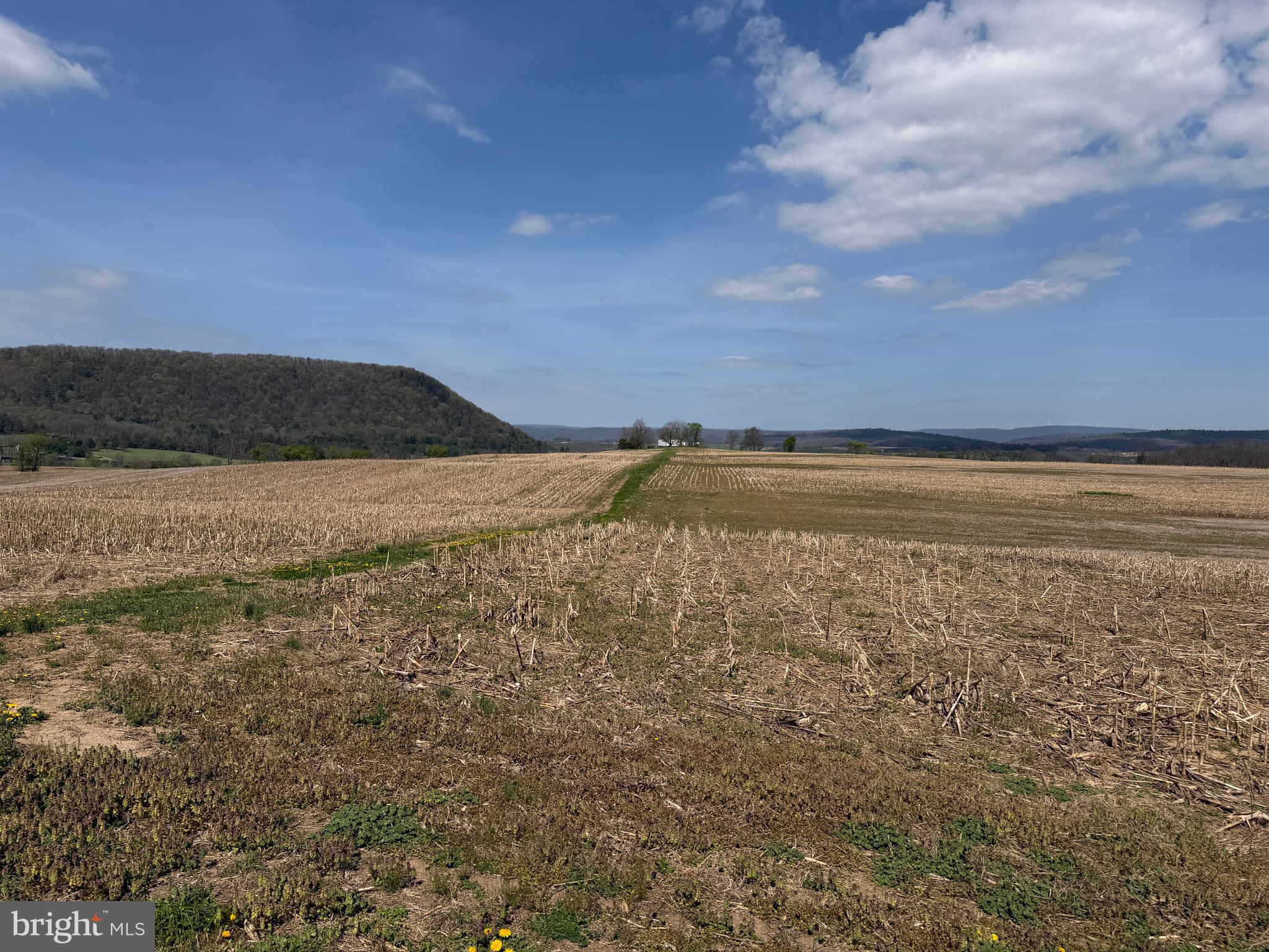 NONE AVAILABLE - Farm