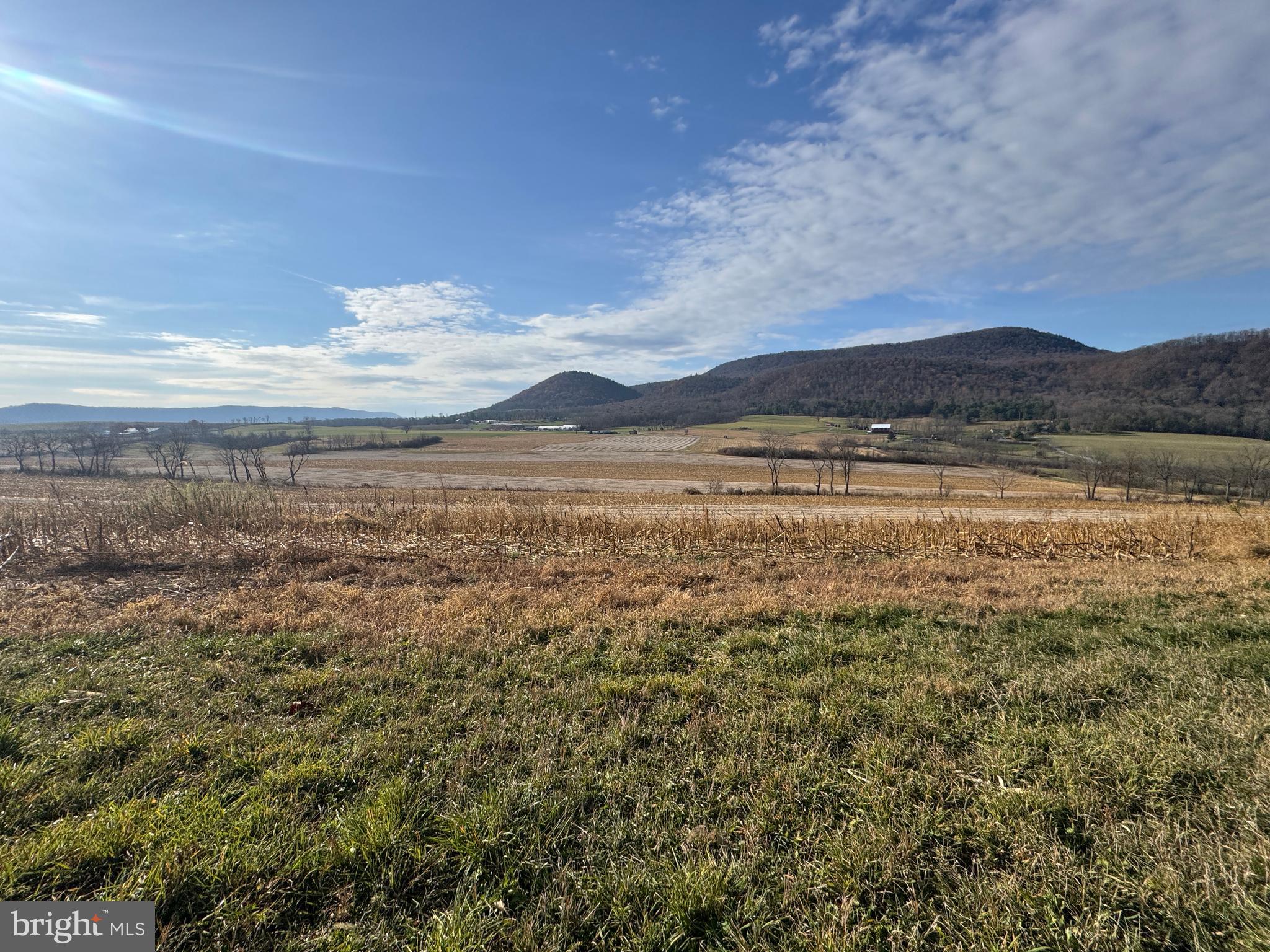 NONE AVAILABLE - Farm