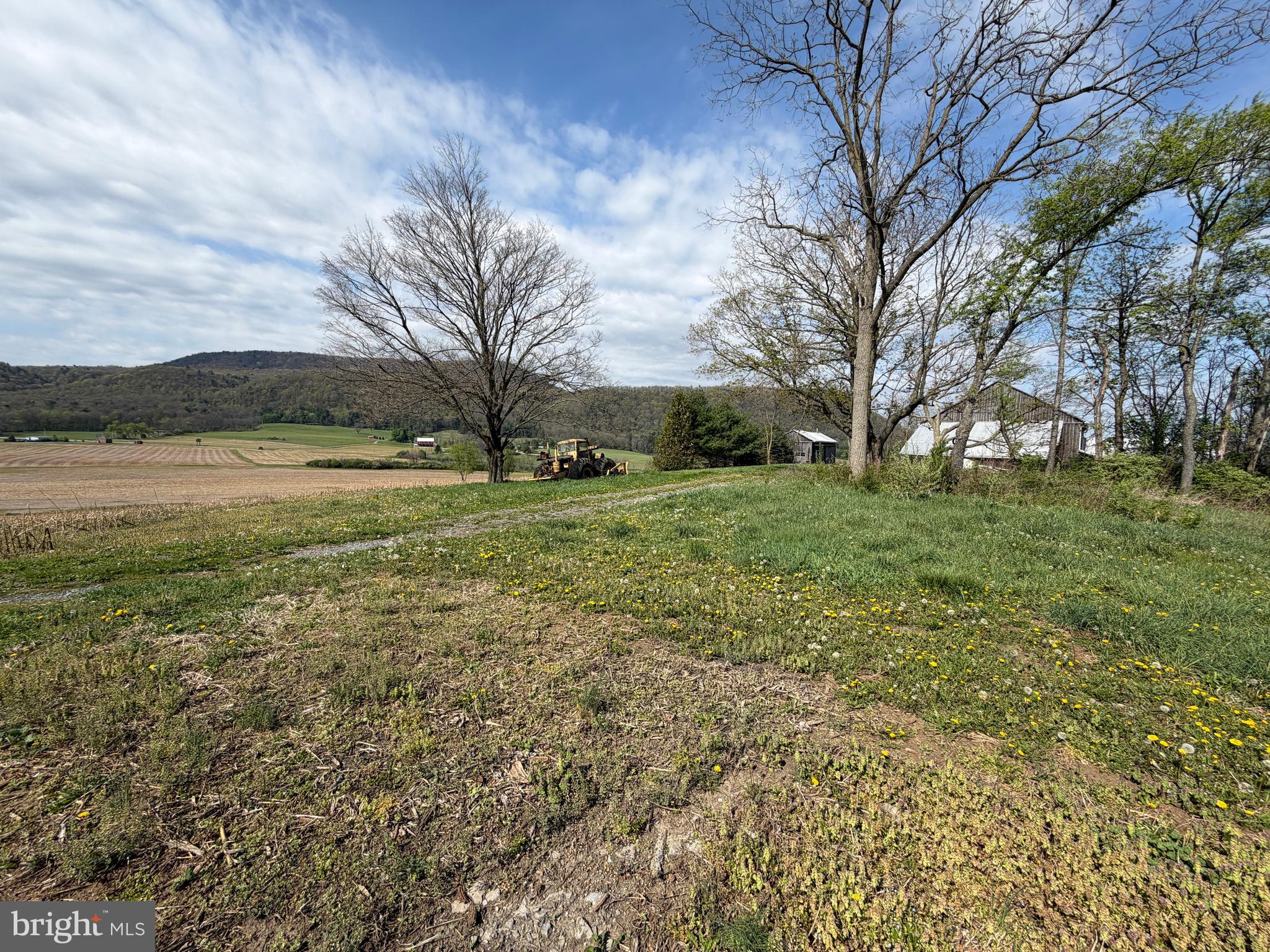 NONE AVAILABLE - Farm