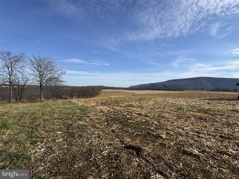 NONE AVAILABLE - Farm