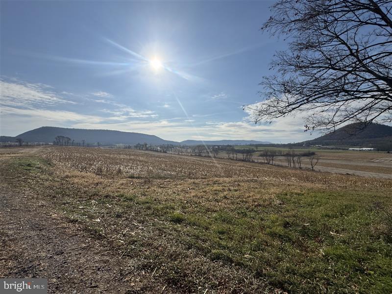 NONE AVAILABLE - Farm