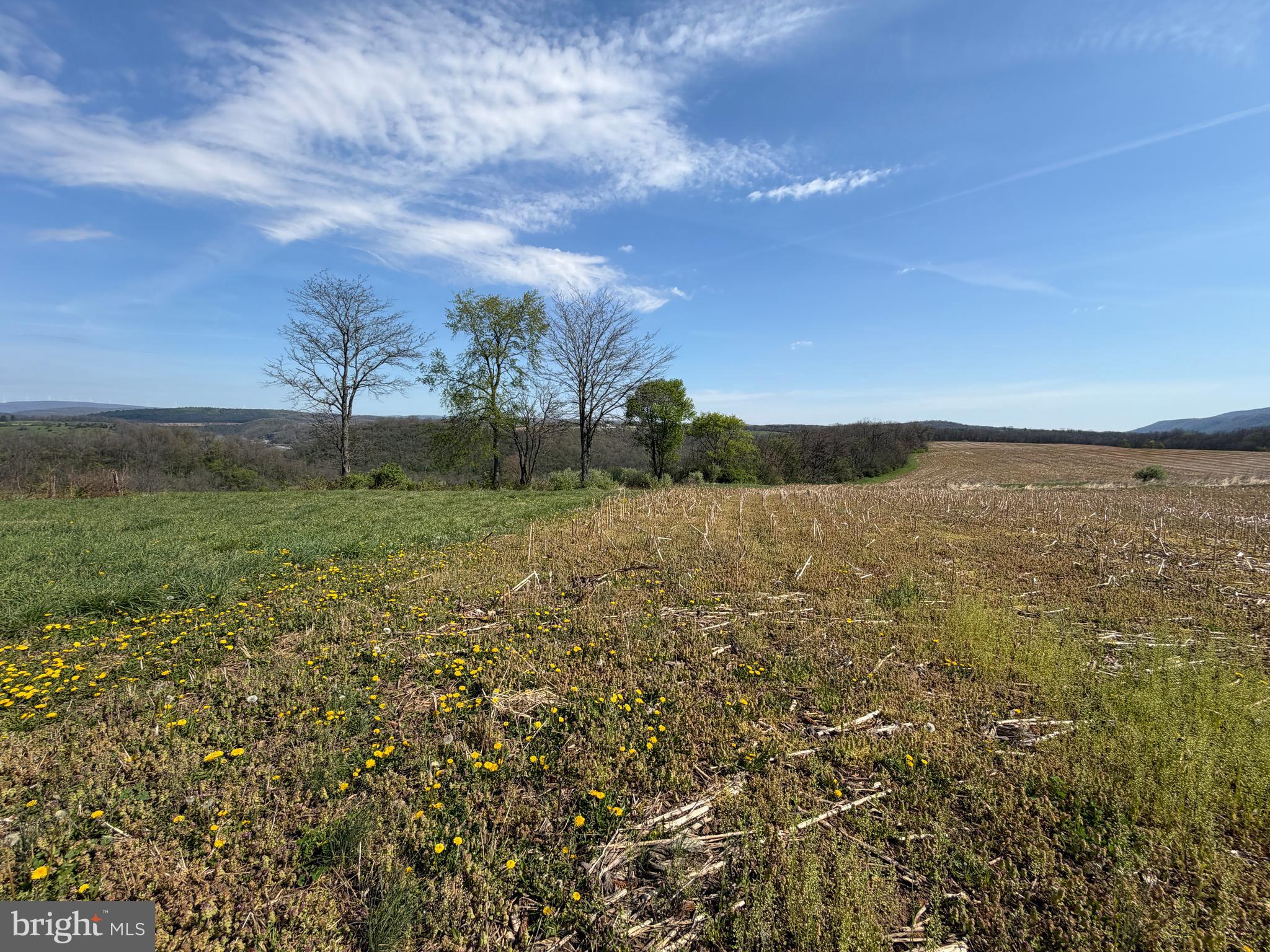 NONE AVAILABLE - Farm