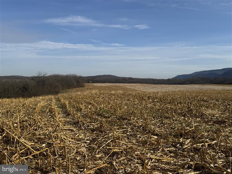 NONE AVAILABLE - Farm