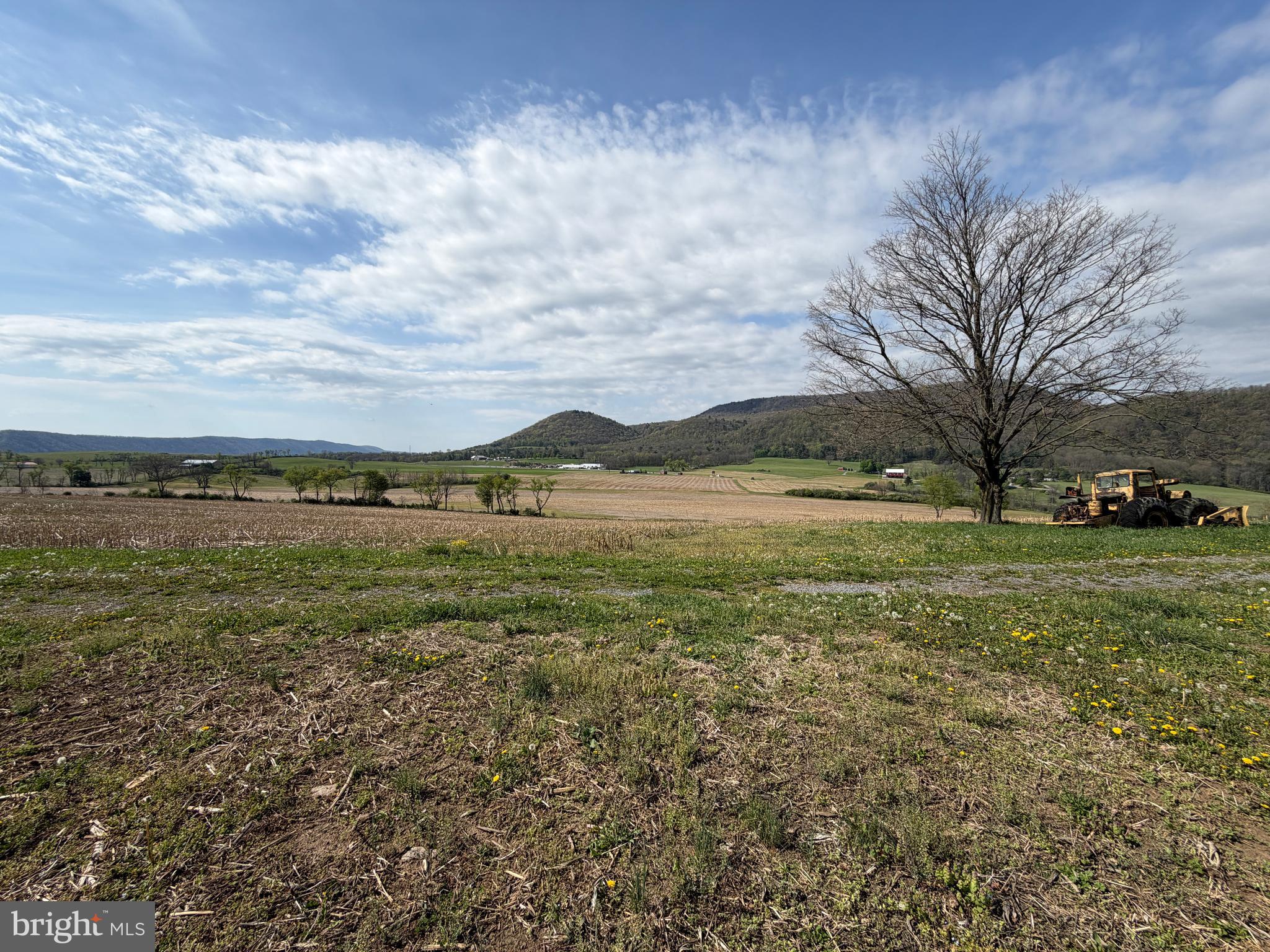 NONE AVAILABLE - Farm