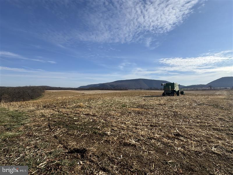 NONE AVAILABLE - Farm