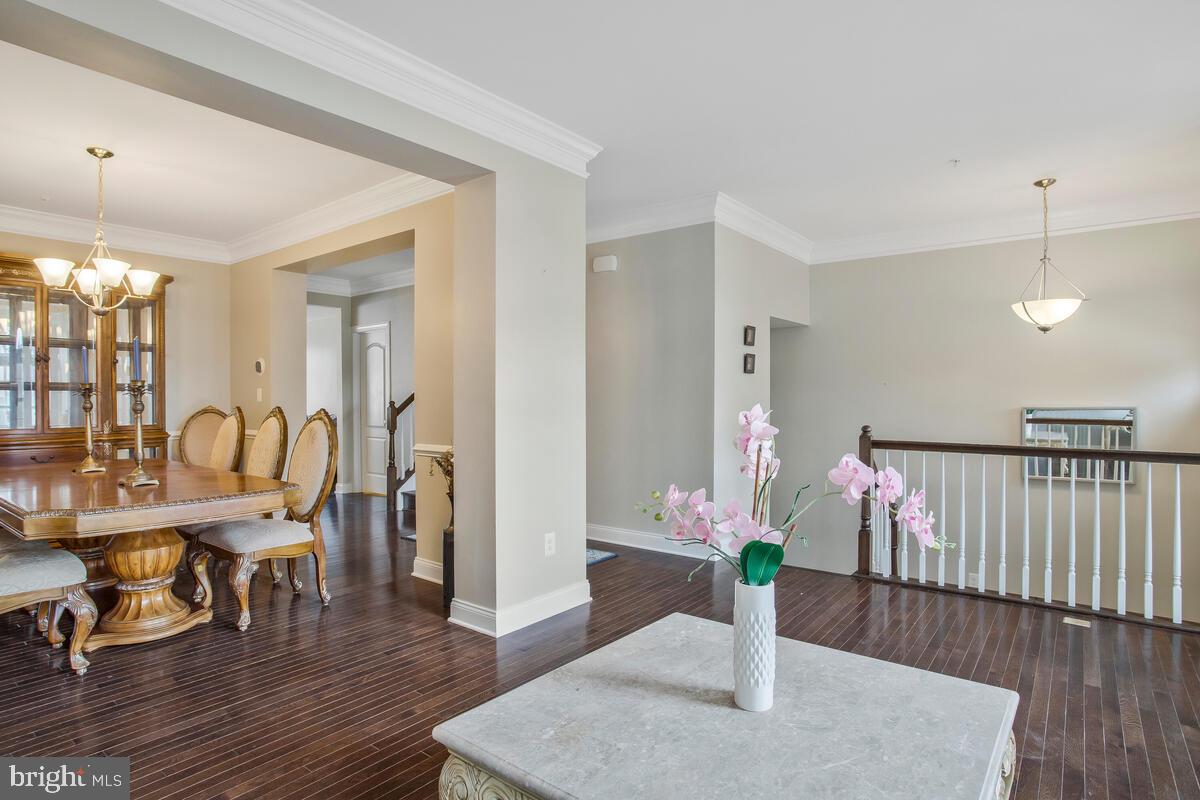 ARUNDEL FOREST - Residential