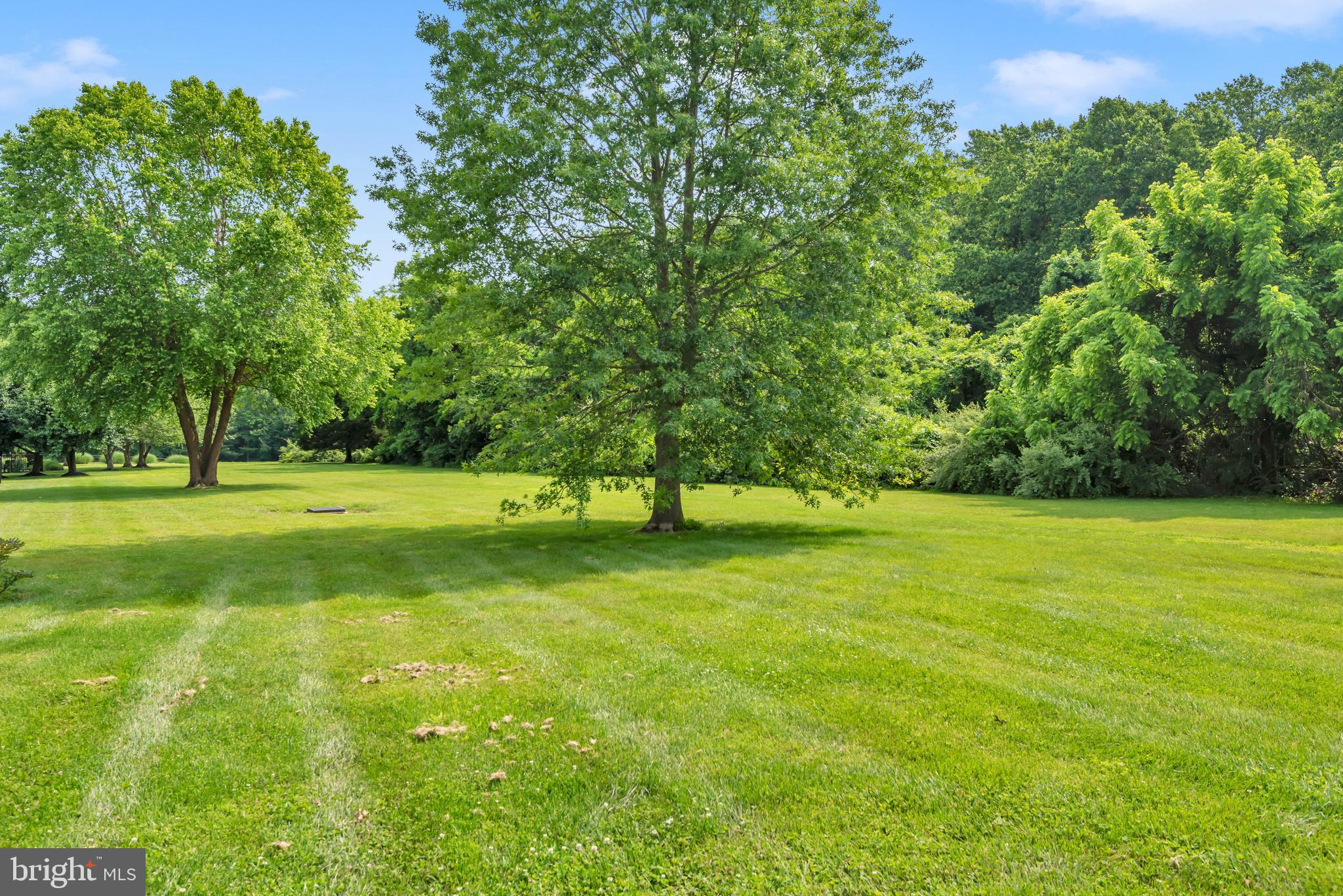 CHESAPEAKE PRESERVE - Residential