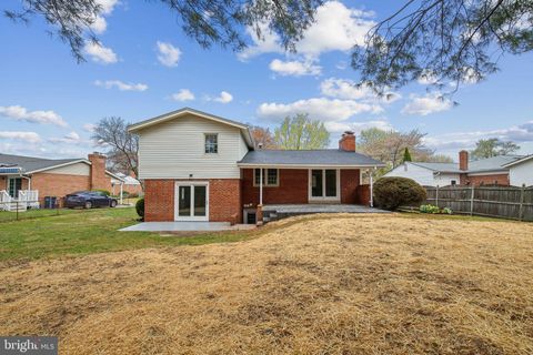 listing image 28