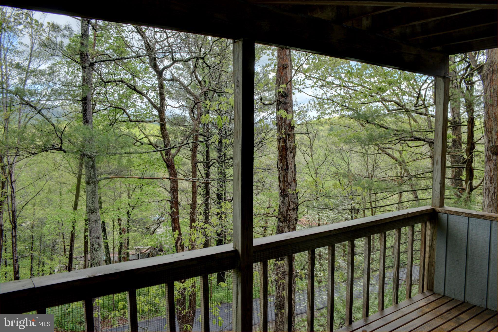 BRYCE  MOUNTAIN  RESORT - Residential