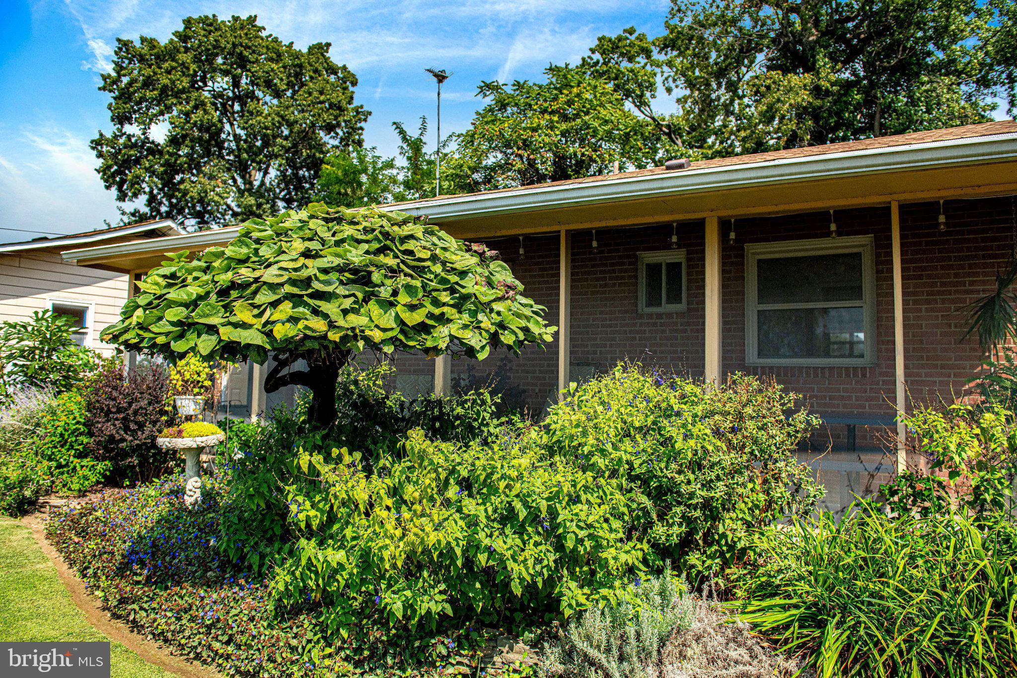 1217 SHORE ROAD