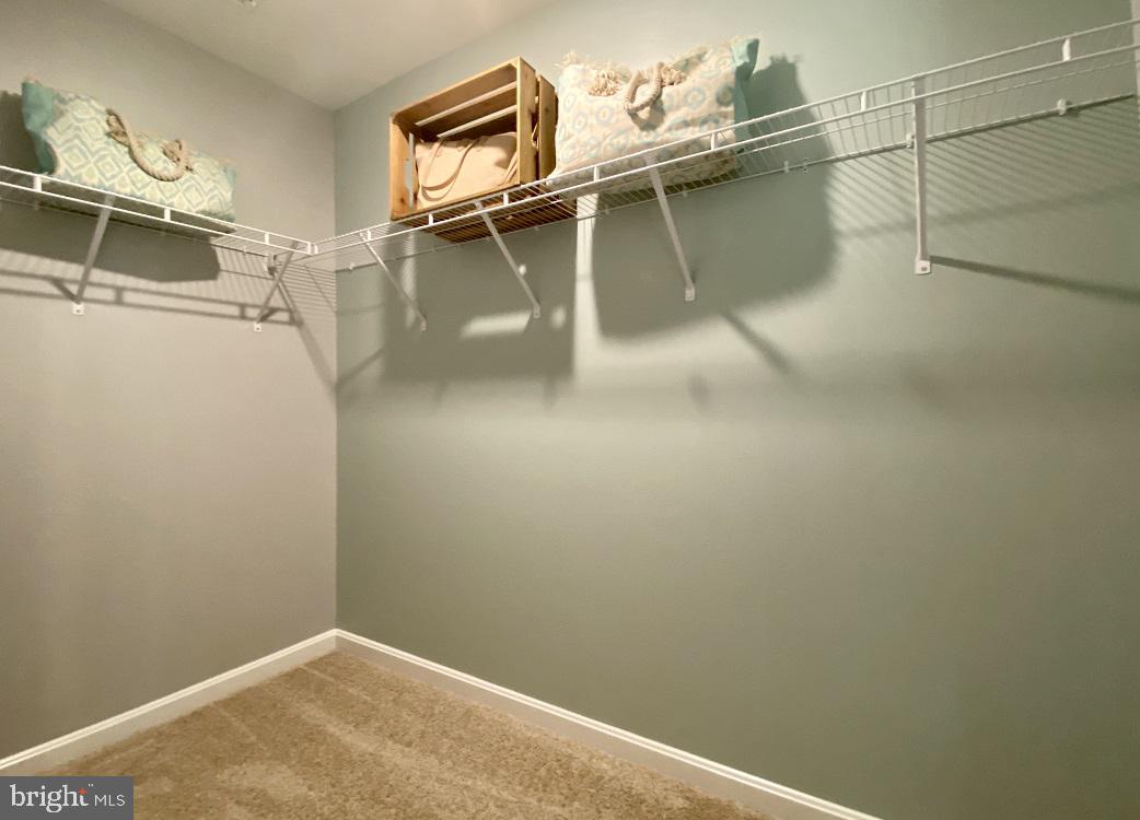 SASSAFRAS MEADOWS - Residential