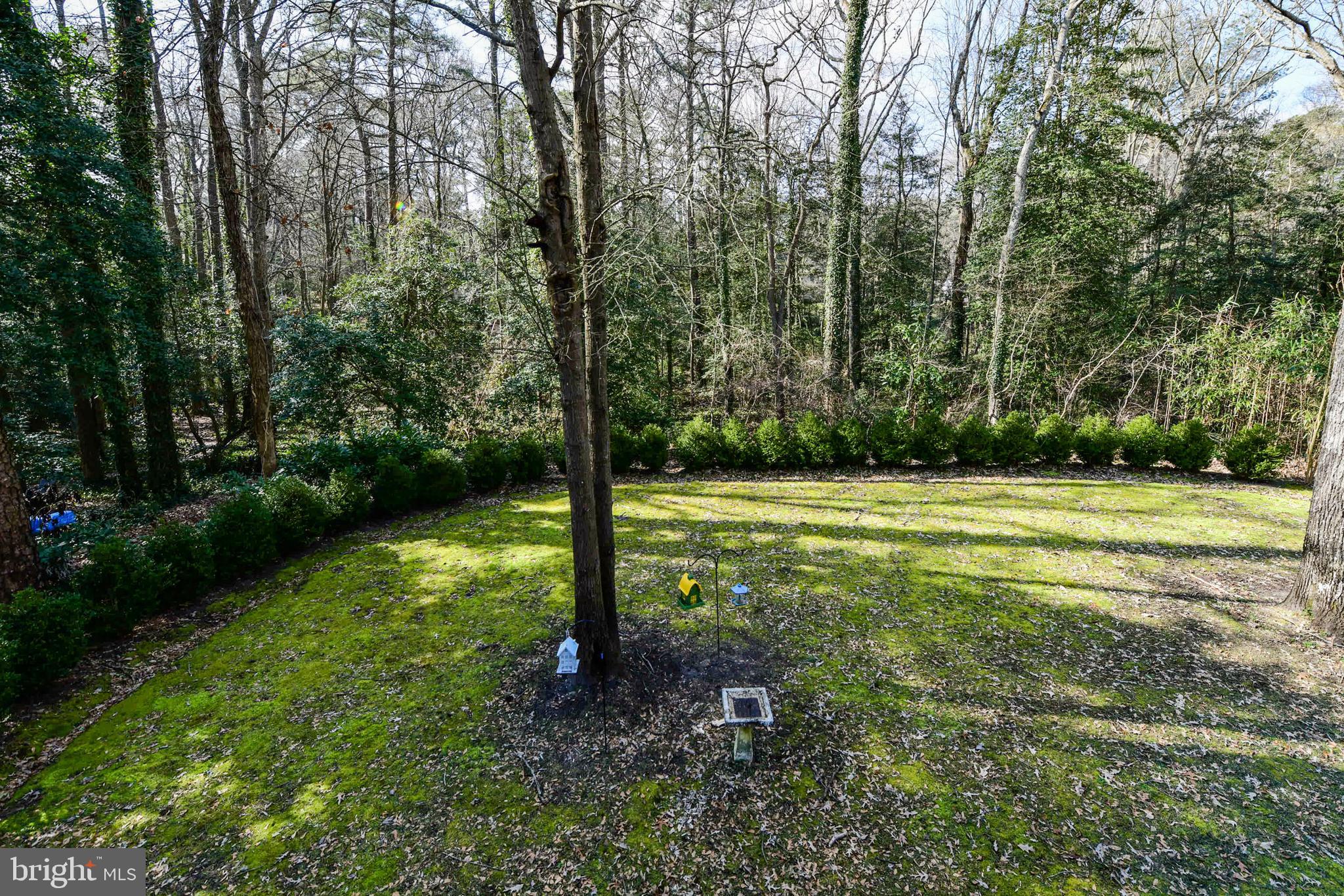 TONY TANK - Residential