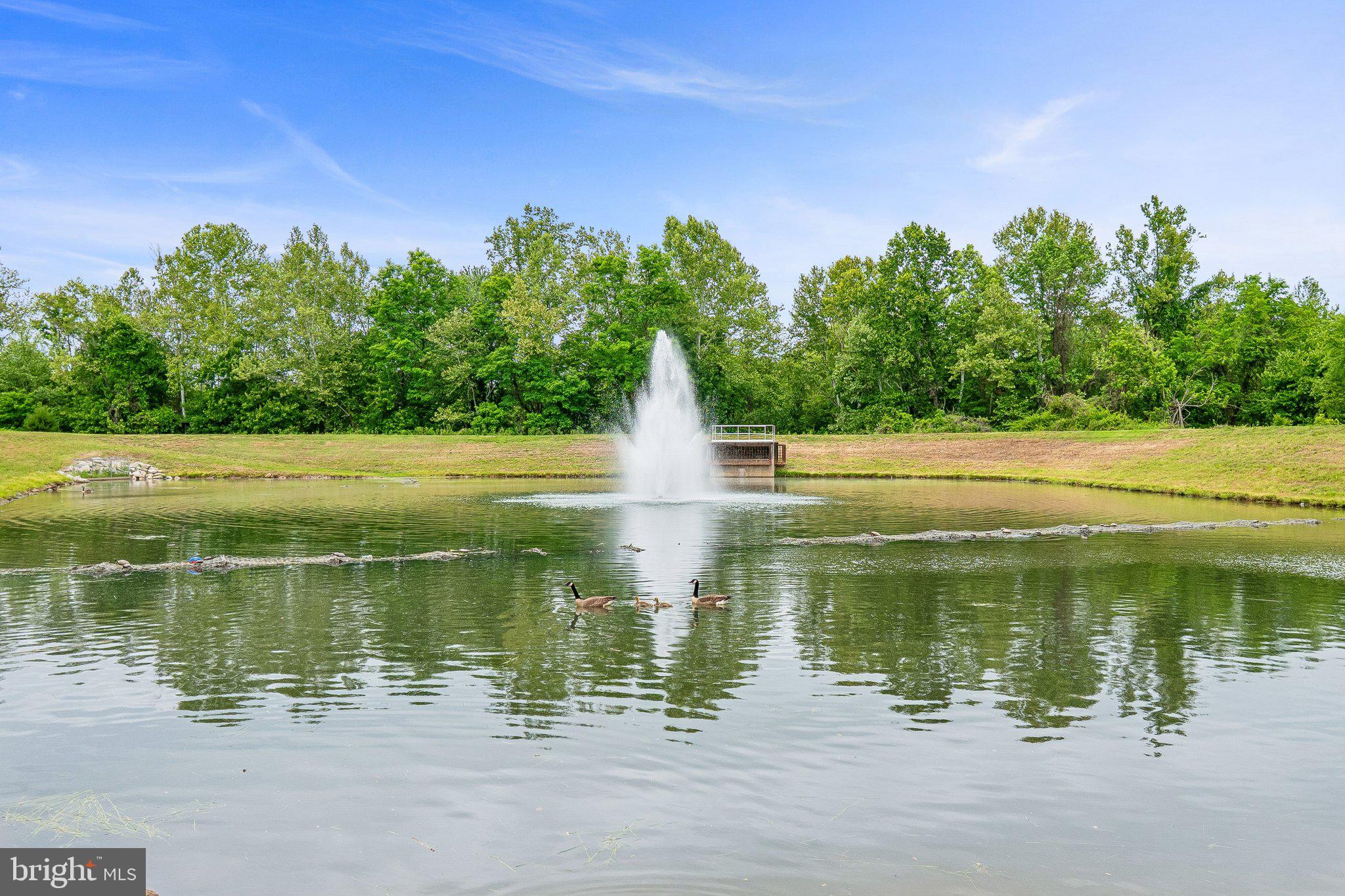 TOWN CENTER AT CAMP SPRINGS - Residential