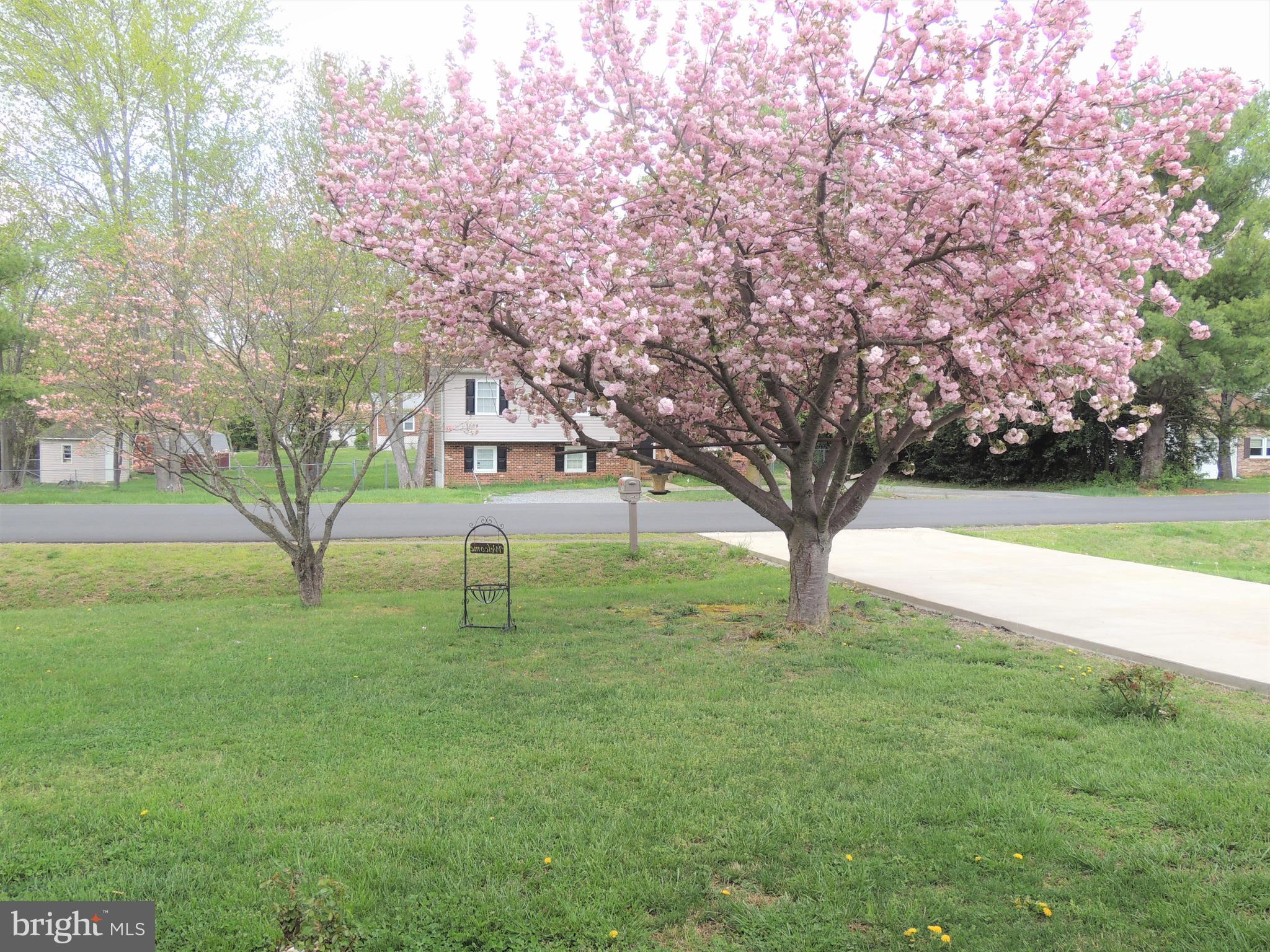 WILBURN FARMS - Residential