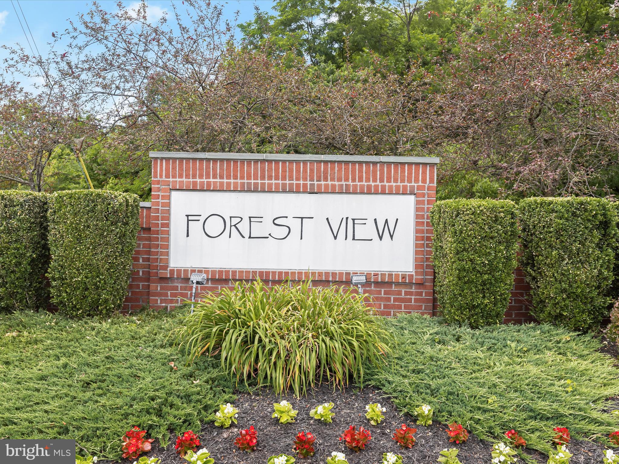 FOREST VIEW - Residential