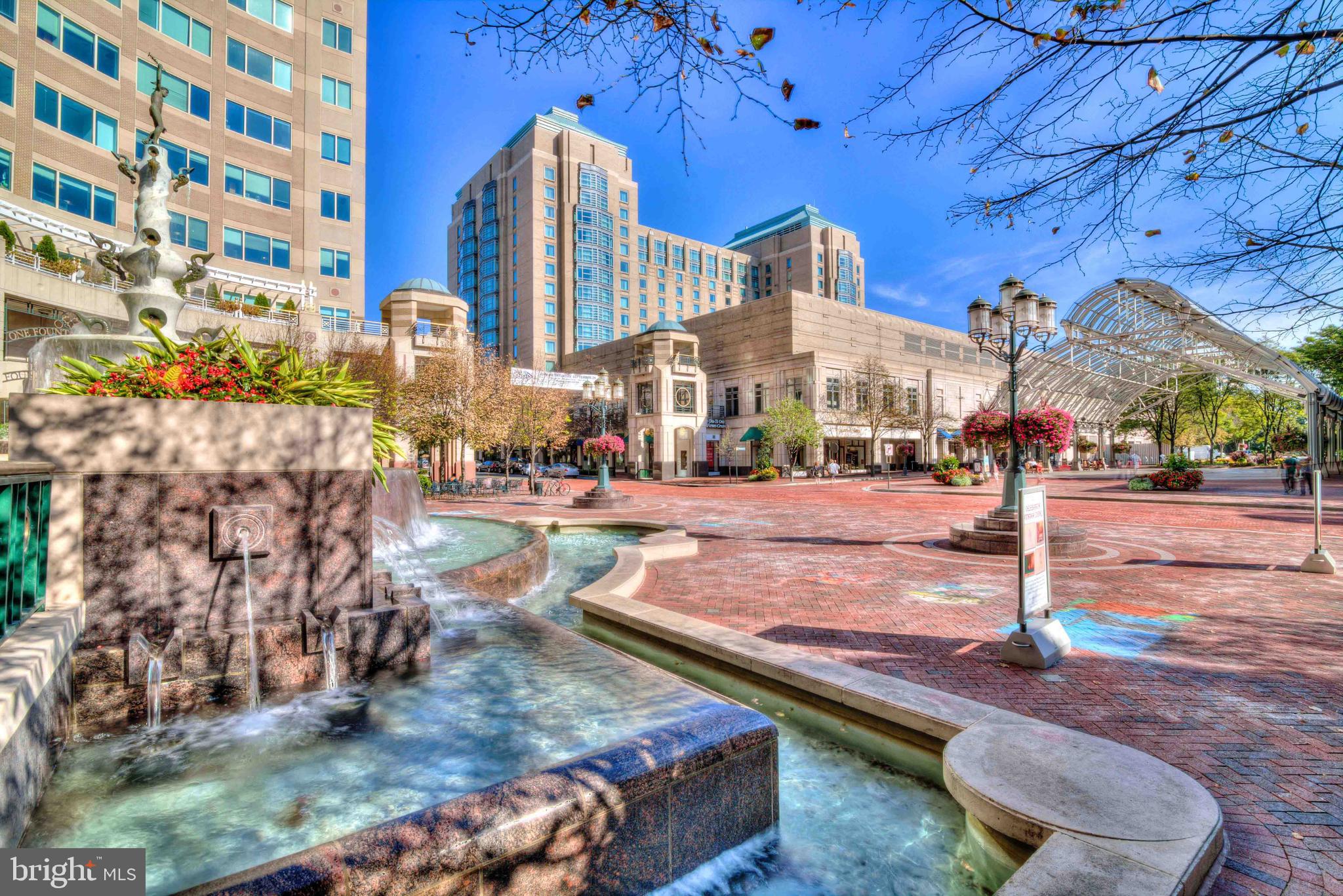 CARLTON HOUSE - Residential