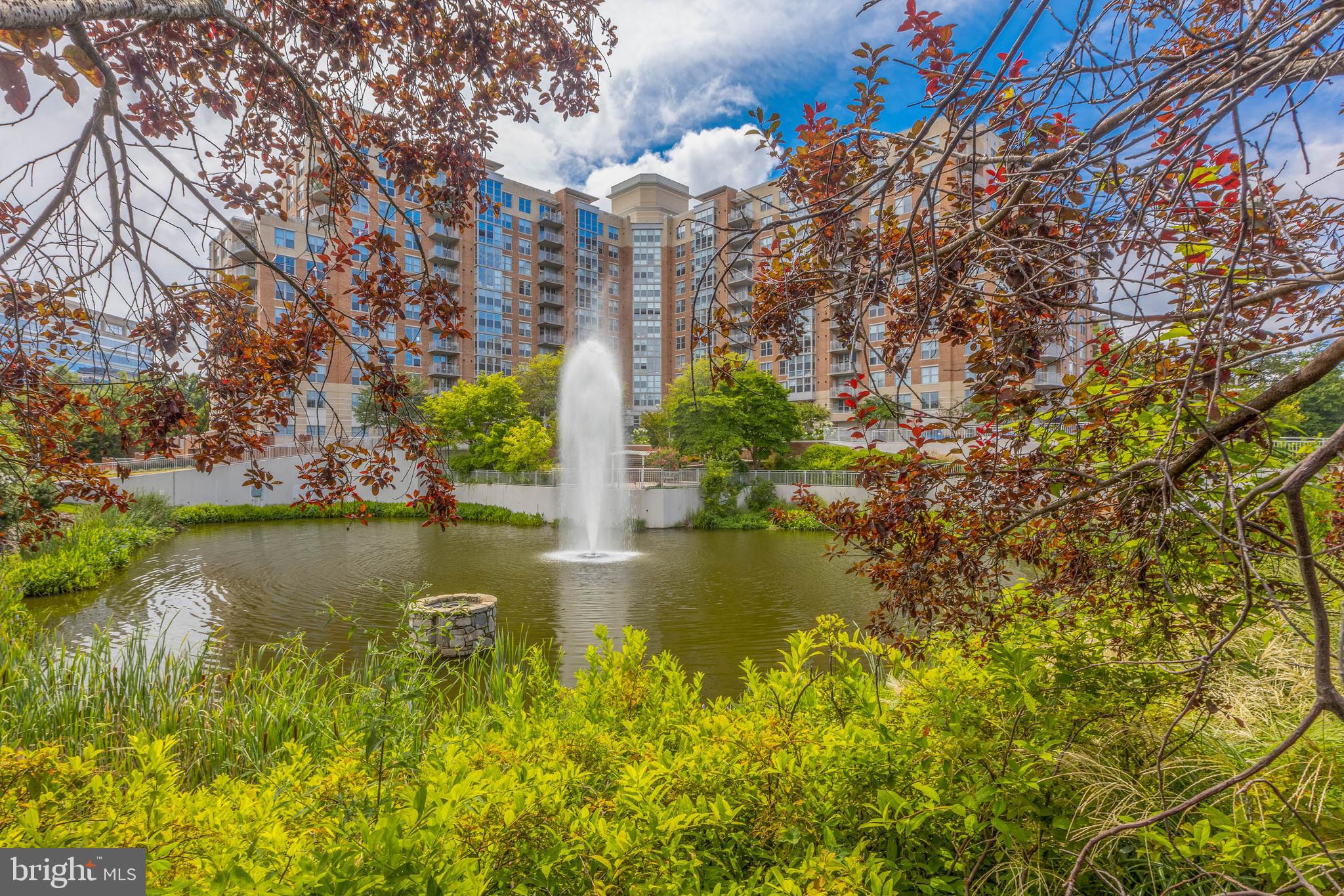 CARLTON HOUSE - Residential