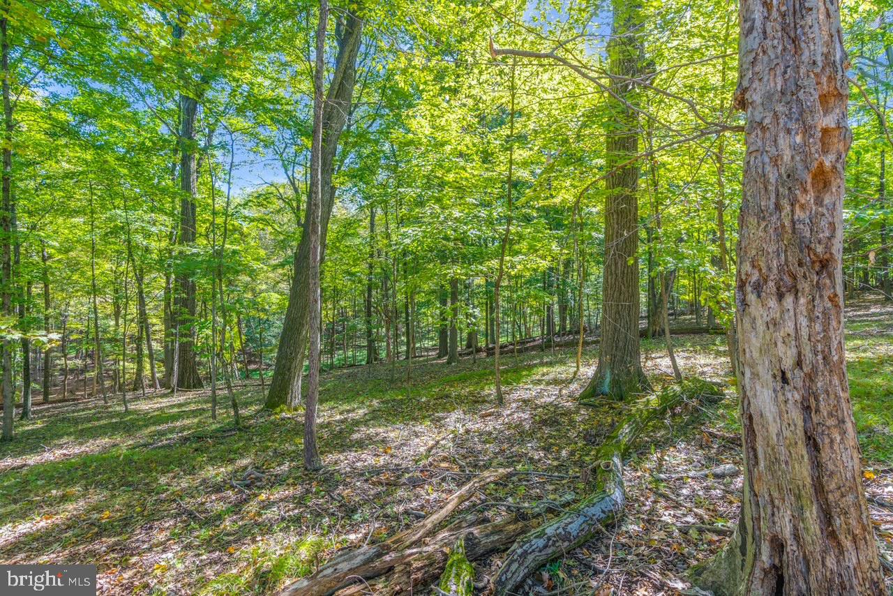 DUTCHESS FARM ESTS - Residential