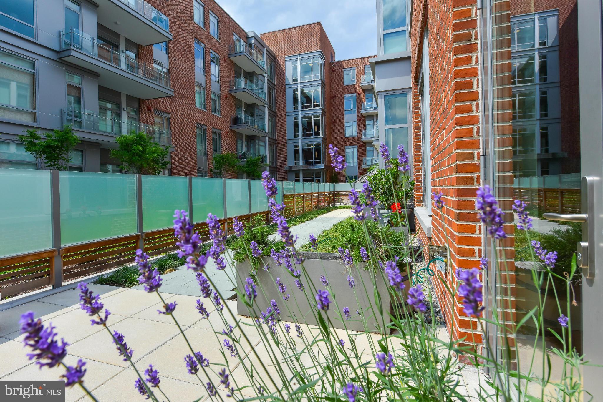 THE ORONOCO - Residential