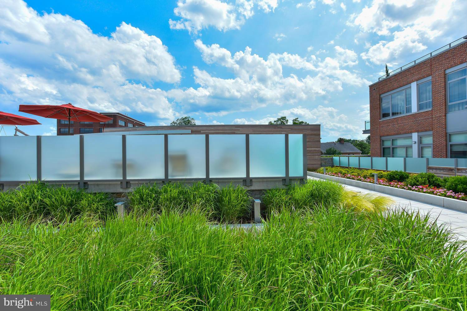 THE ORONOCO - Residential