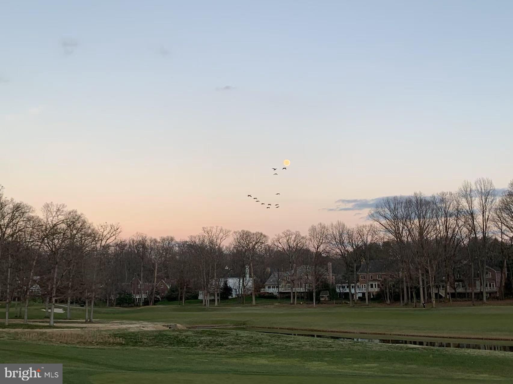 AVENEL - Residential