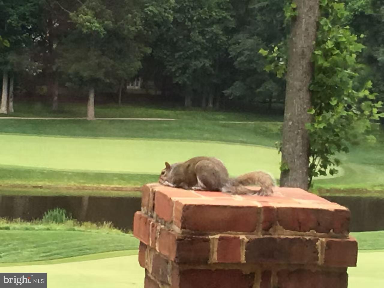 AVENEL - Residential