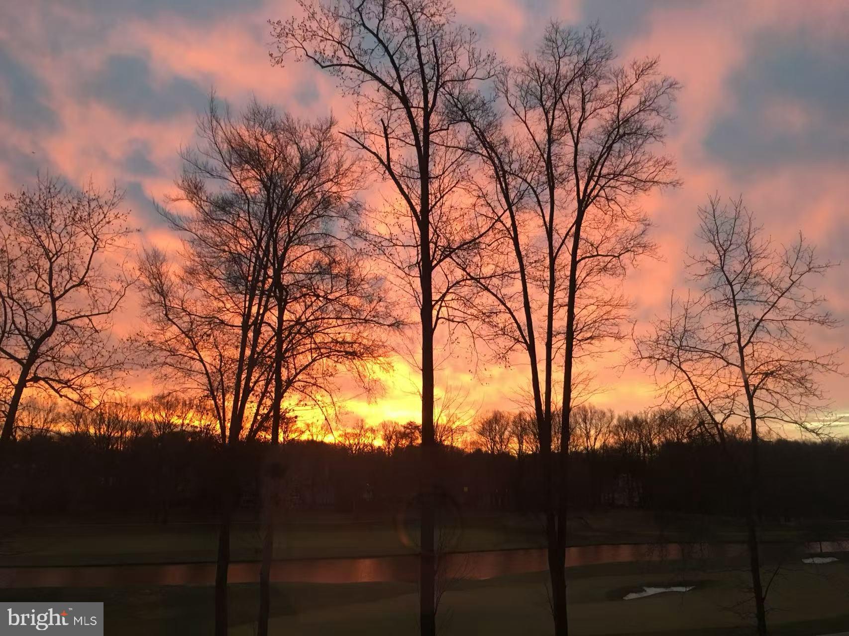 AVENEL - Residential