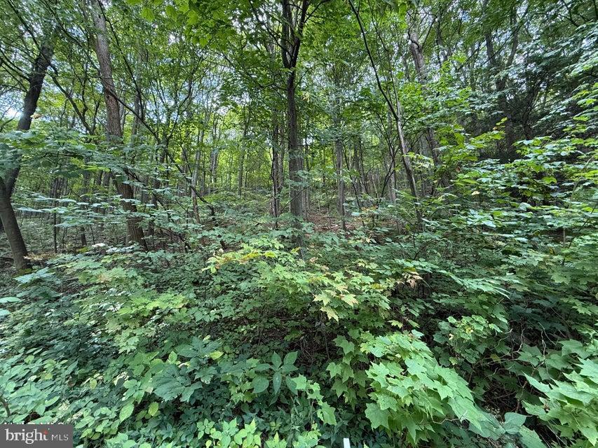 Lot 20 KITTANNING (OVERLAND PASS) RUN