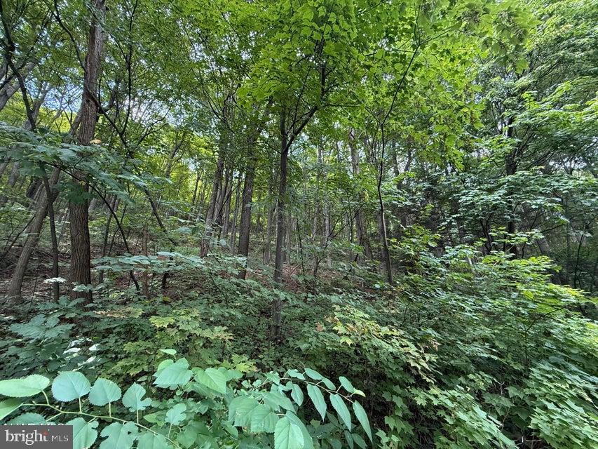 Lot 20 KITTANNING (OVERLAND PASS) RUN