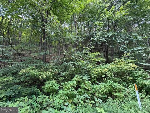 Vacant Land For Sale - LOT 20 Kittanning (overland Pass) Run<br/> CLAYSBURG, PA 16625