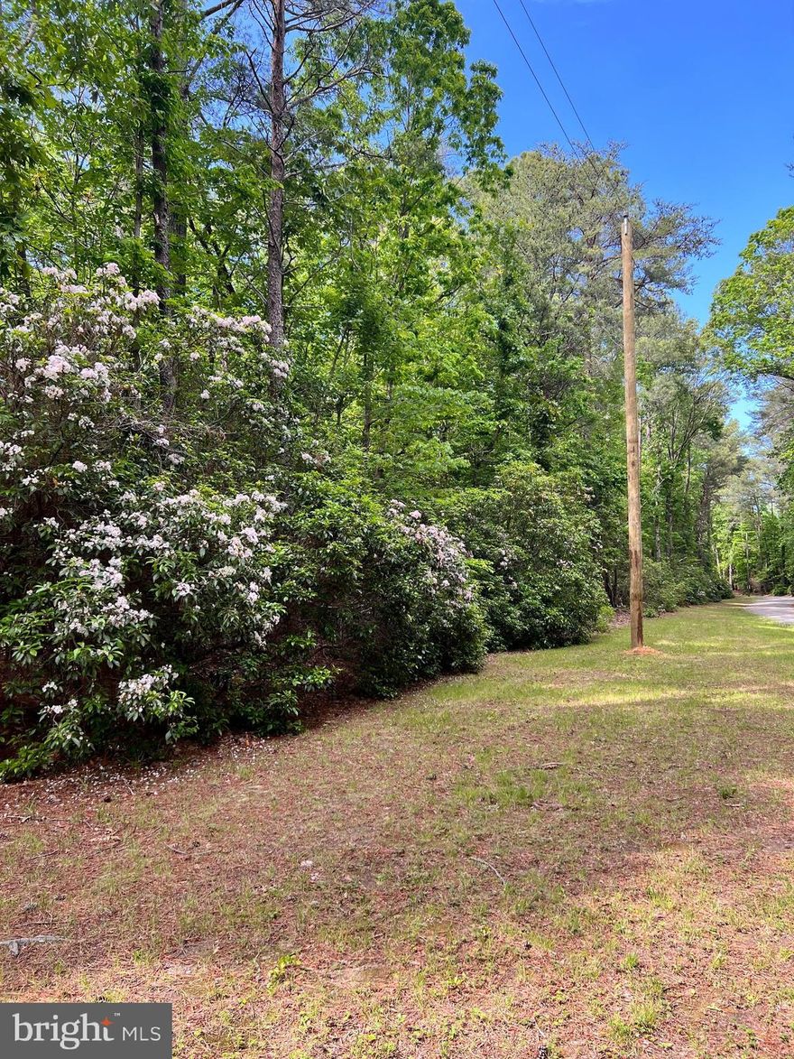 SELLER IS MOTIVATED....BRING US YOUR OFFER!  Very private, secluded, quiet parcel located in Heathsville, Virginia. 4.06 acres available to build the home of your dreams with no HOA.  Land has recently (8/15/24) been perc tested and we have a verbal that it does perc for a conventional system.  Awaiting paperwork! Public boat landing minutes away. You owe it to yourself to take a ride and check it out!