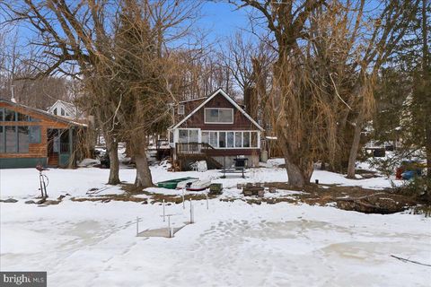 7698 LAKE SHORE DRIVE POCONO LAKE PA 18347