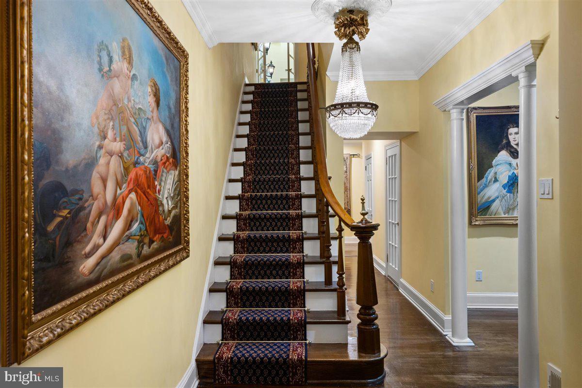 QUEEN VILLAGE - Residential