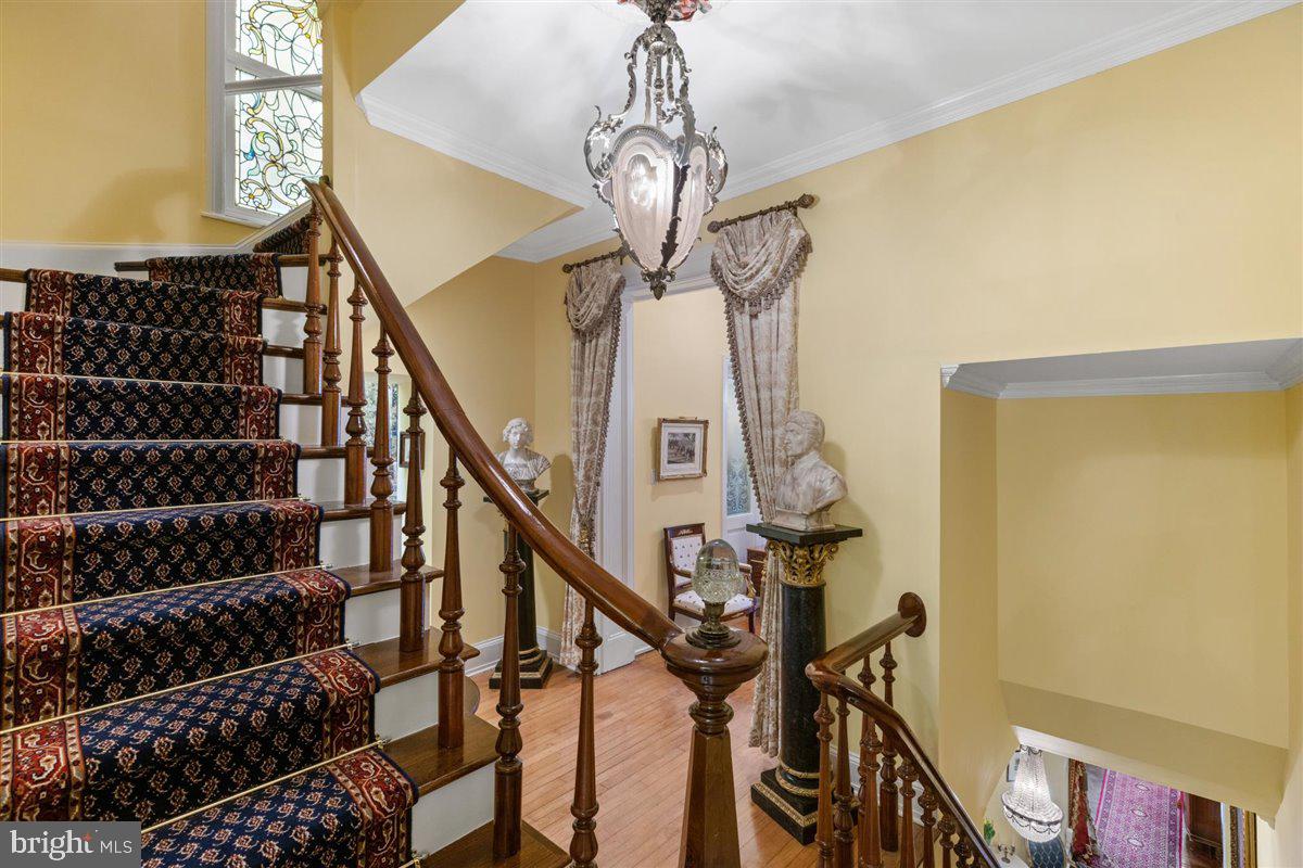 QUEEN VILLAGE - Residential