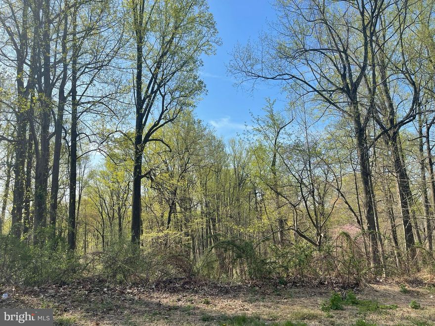 Lovely, wooded  almost 2.17 acre lot, privately located in quiet established community at end of the street with no thru traffic.  Lot lines and perc being verified.   Excellent distant suburban location in western Randallstown with easy access to Owings Mills and Carroll County.  Minutes to Liberty Reservoir and Solders Delight.