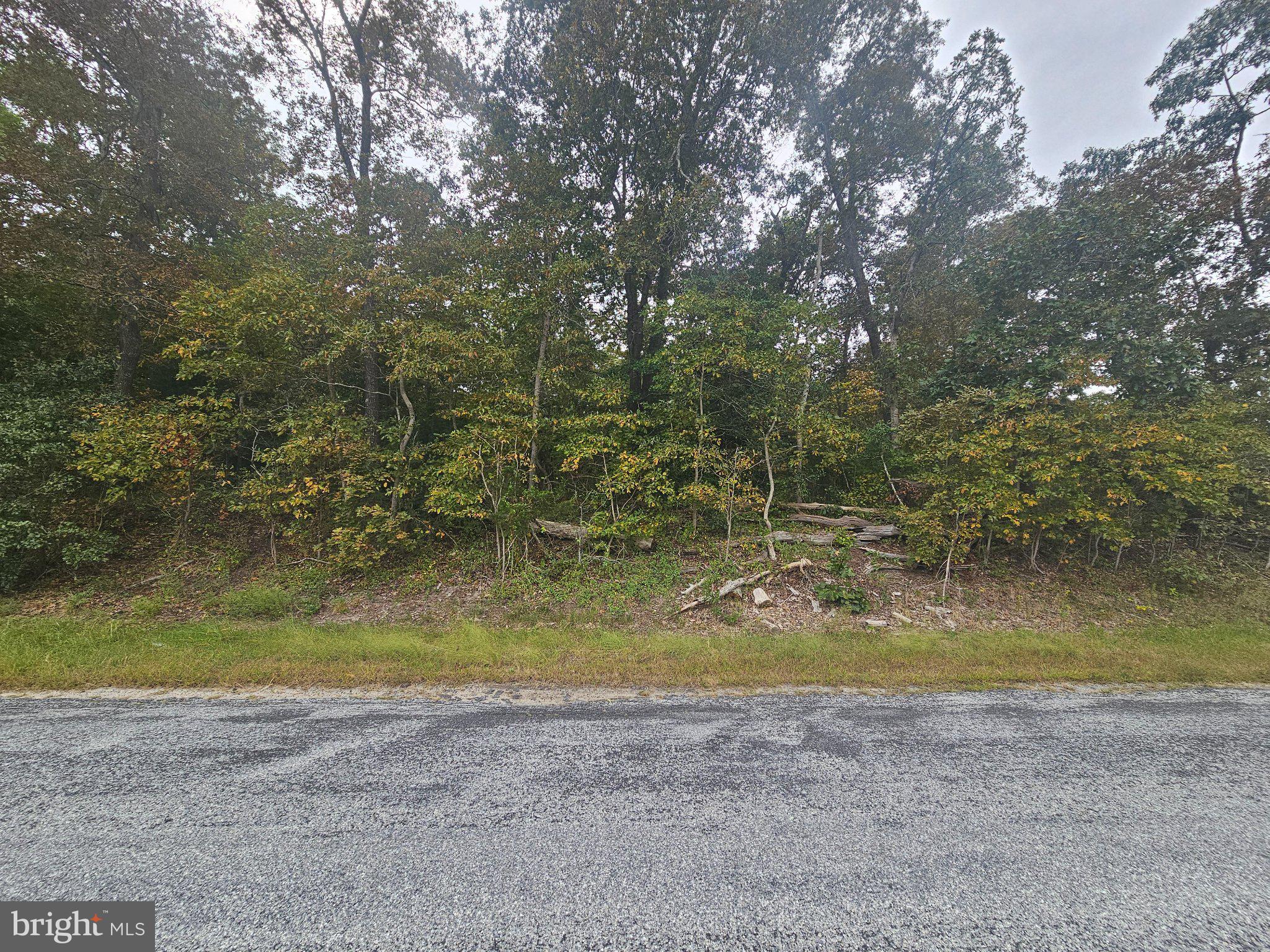 ADAMS ROAD W LOT 1