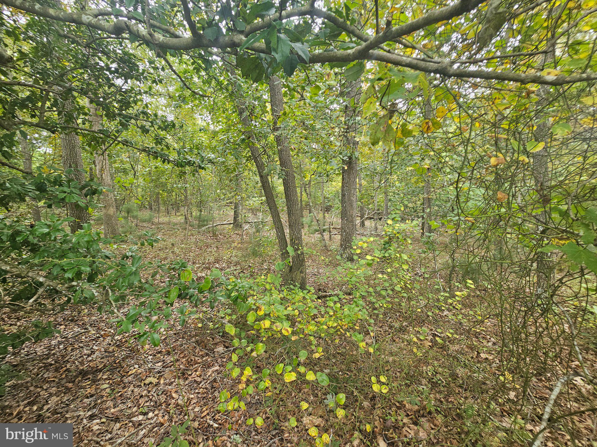 ADAMS ROAD W LOT 1