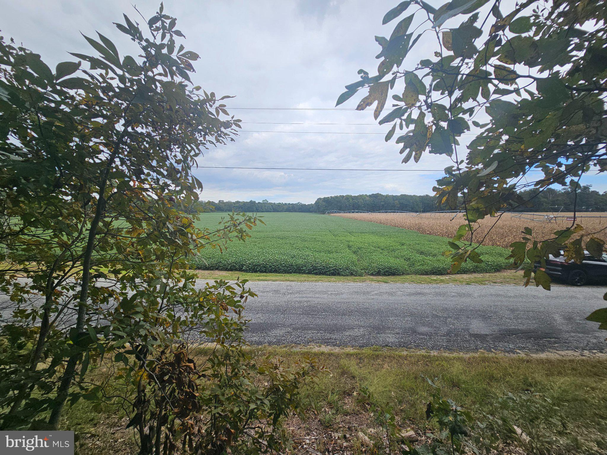 ADAMS ROAD W LOT 1
