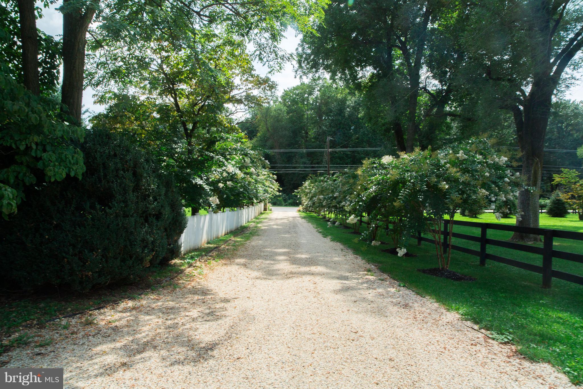 BUZZELLI FAMILY SUBDIVIS - Residential Lease