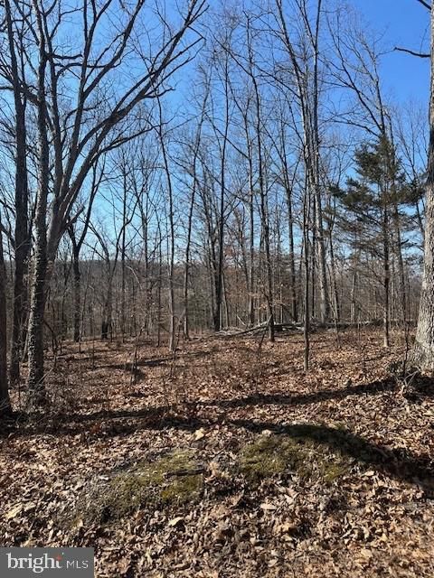 Vacant Land For Sale - 10712 Etzler Mill Road<br/> WOODSBORO, MD 21798