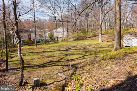 listing image 47
