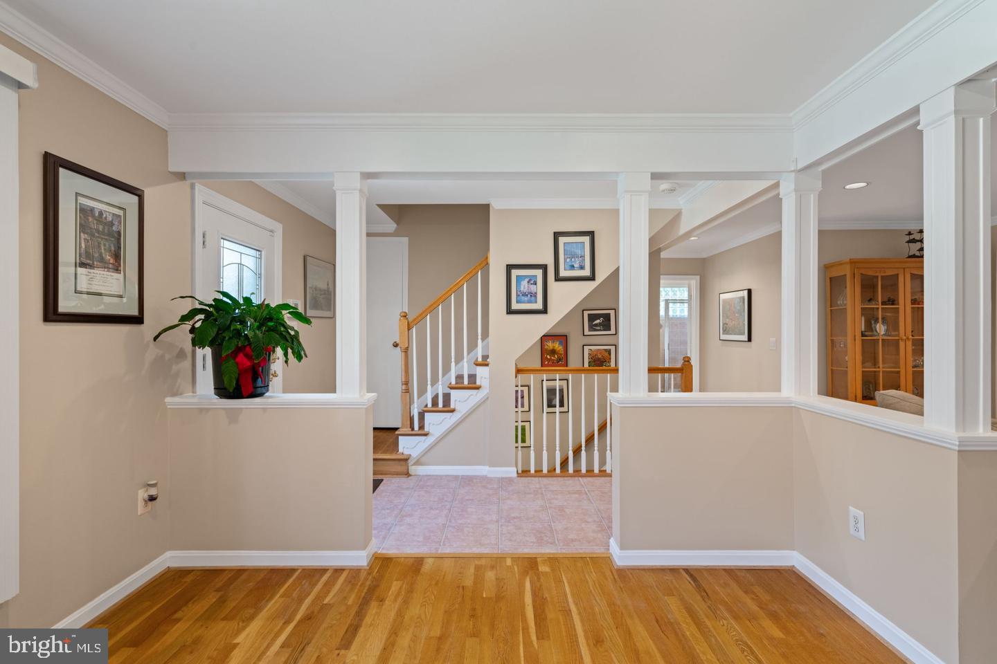 WEST SPRINGFIELD VILLAGE - Residential Lease