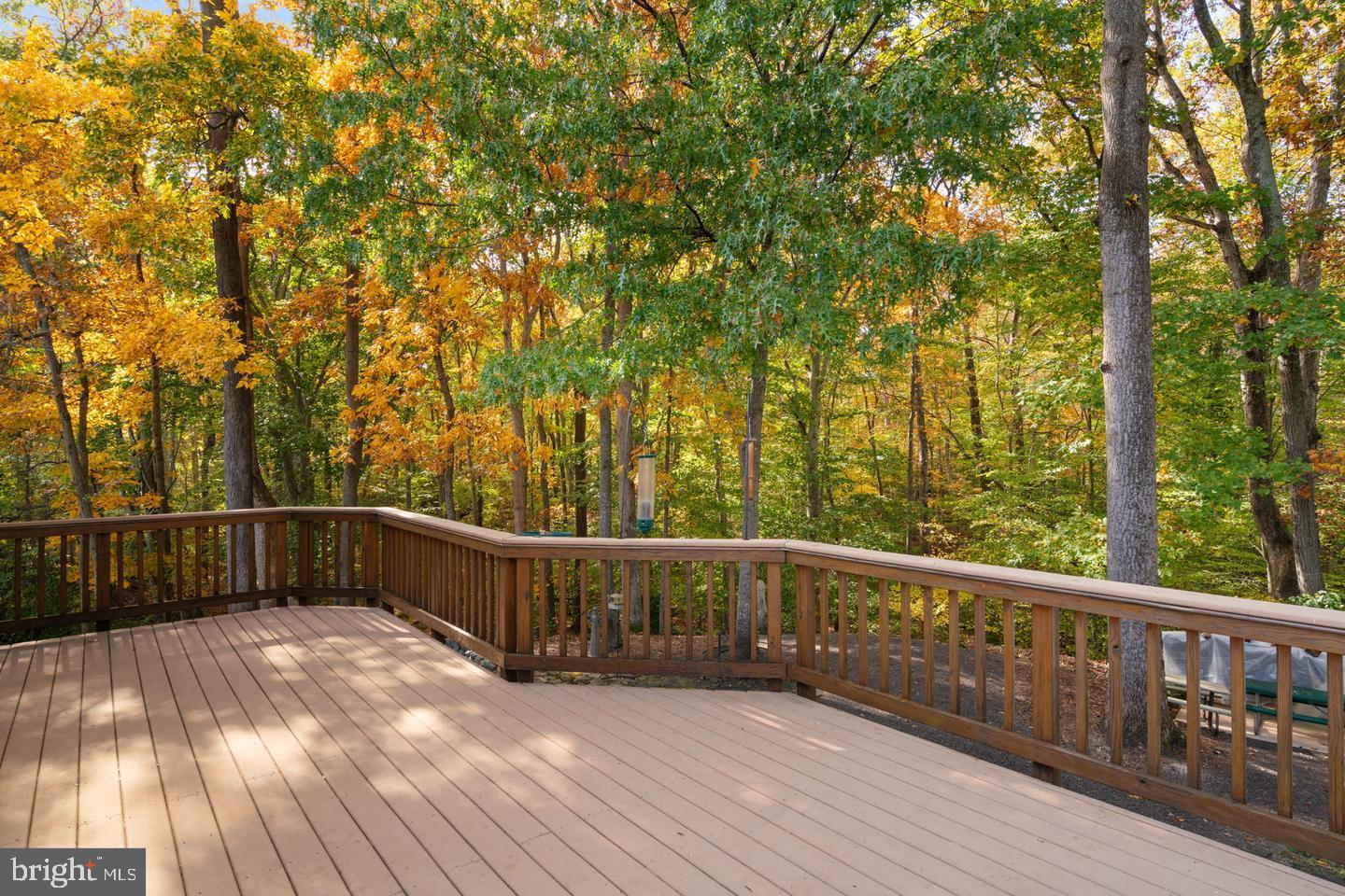 WEST SPRINGFIELD VILLAGE - Residential Lease