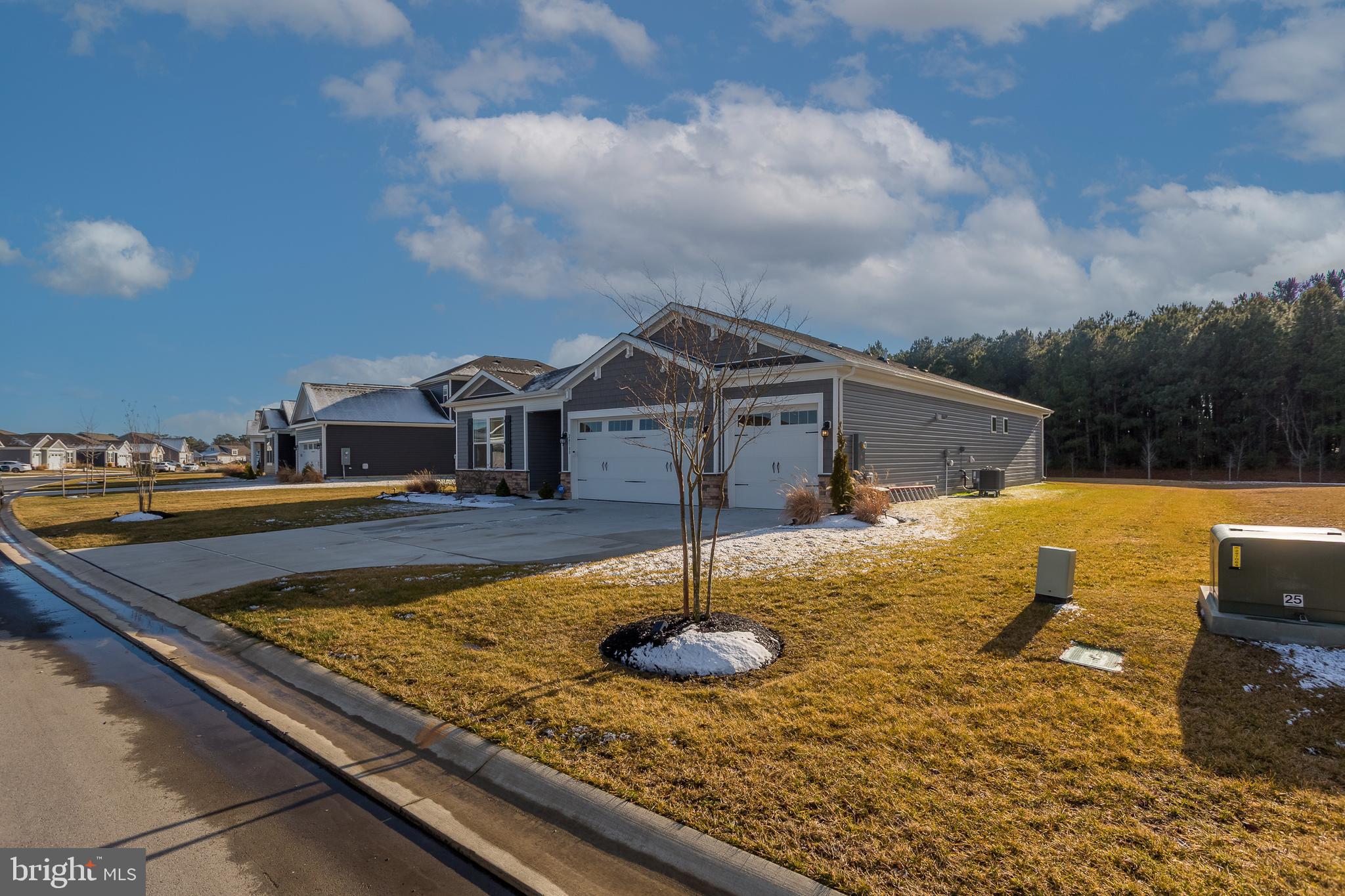 WOODFIELD PRESERVE - Residential