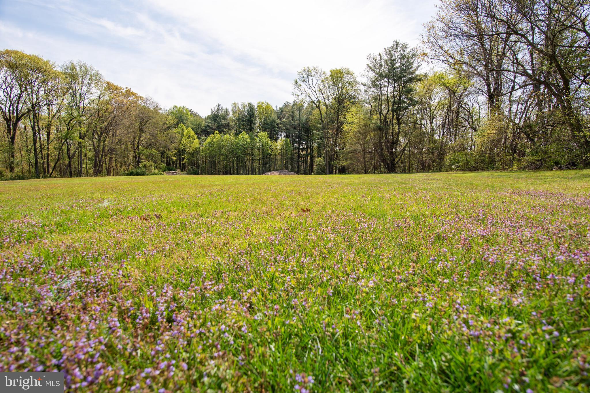 NONE AVAILABLE - Commercial Sale