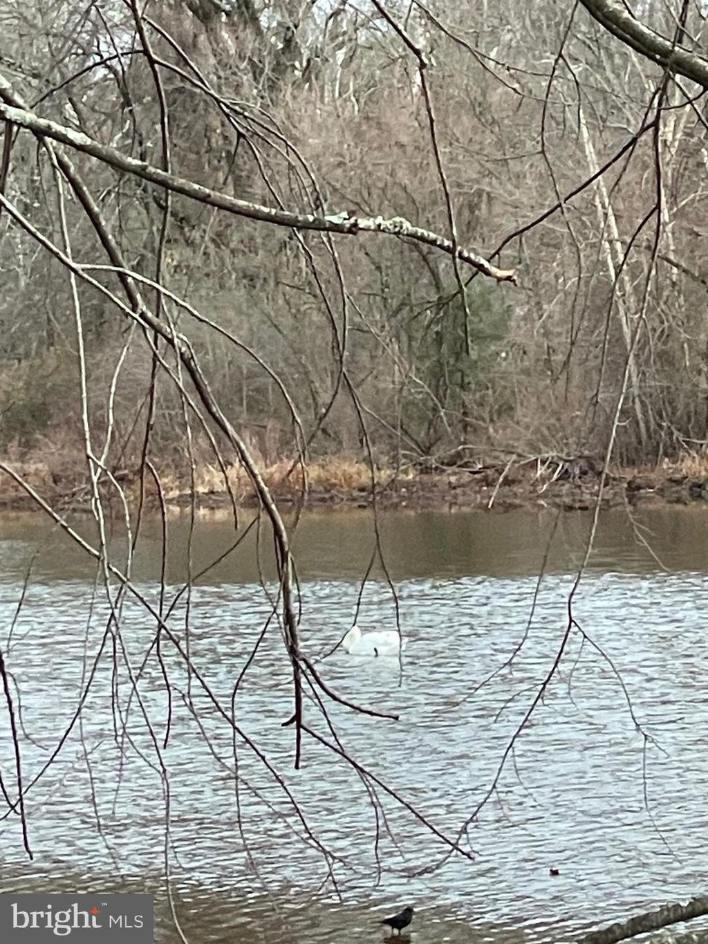 Photo of 1112 General Saint Claire Road, WASHINGTON CROSSING, PA 18977 (MLS # PABU2114252)