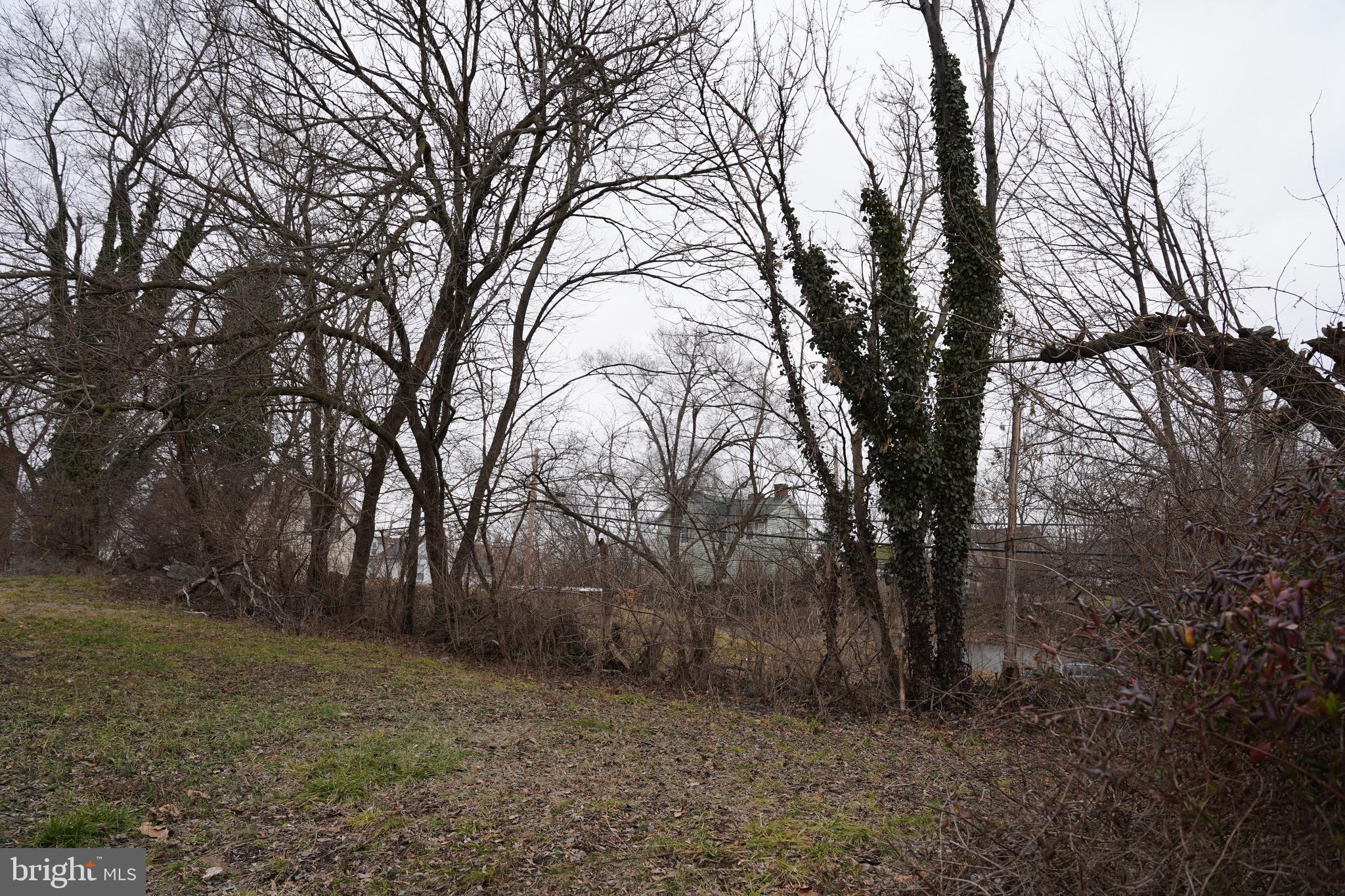 Great opportunity to build in the city of Martinsburg! Potential to build a single family home or duplex with public water and sewer hookup! Located minutes from the Amtrak Train Station and downtown Martinsburg. Road frontage on E Burke St and Seibert St. This lot offers great views of Martinsburg.