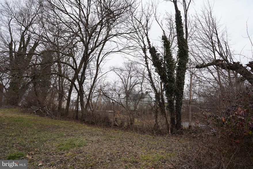 Great opportunity to build in the city of Martinsburg!  Potential to build a single family home or duplex with public water and sewer hookup!  Located minutes from the Amtrak Train Station and downtown Martinsburg.  Road frontage on E Burke St and Seibert St.  This lot offers great views of Martinsburg.