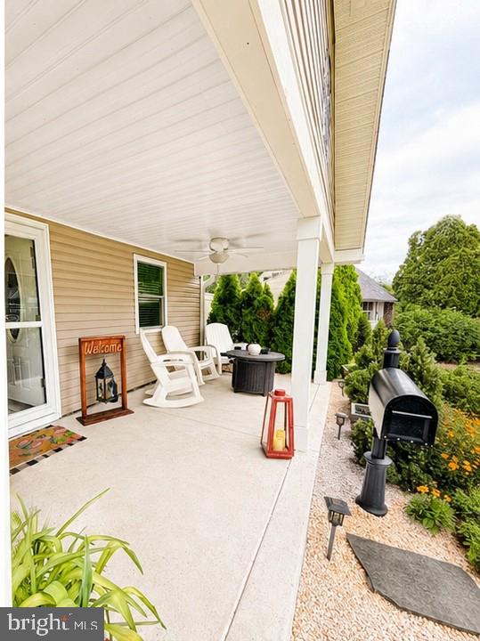 61 BEGONIA LANE